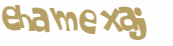 Desafio captcha