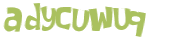 Captcha 챌린지