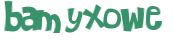 CAPTCHA 挑戰