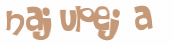 CAPTCHA 挑戰