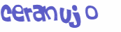 Captcha挑战