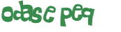 Wyzwanie captcha