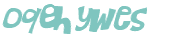 CAPTCHA 挑戰