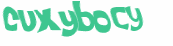 Captcha-Test