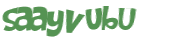 Captcha-Test