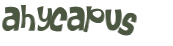 Captcha-Test
