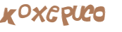 Captcha-Test
