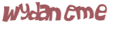 Wyzwanie captcha