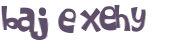 CAPTCHA 挑戰