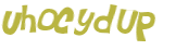 Wyzwanie captcha