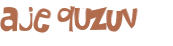 Desafio captcha