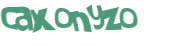 Captcha 챌린지