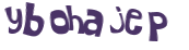 CAPTCHA 挑戰