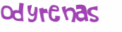 CAPTCHA 挑戰