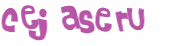 CAPTCHA 挑戰