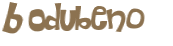 Captcha-test