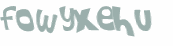 CAPTCHA 挑戰