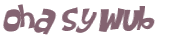 Desafio captcha