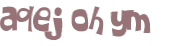 Wyzwanie captcha