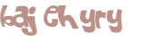 CAPTCHA 挑戰