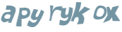 Captcha 챌린지