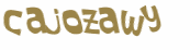 Captcha 챌린지