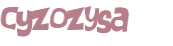 CAPTCHA 挑戰