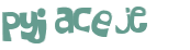 CAPTCHA-haaste