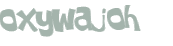 Wyzwanie captcha