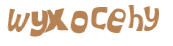 Wyzwanie captcha