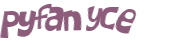 Wyzwanie captcha