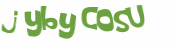 CAPTCHA 挑戰