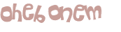 CAPTCHA 挑戰
