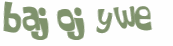CAPTCHA 挑戰