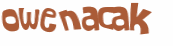 CAPTCHA 挑戰