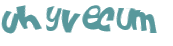 Wyzwanie captcha