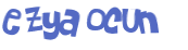 Captchafråga
