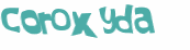 Captcha 챌린지