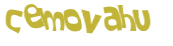 CAPTCHA 挑戰