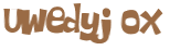Wyzwanie captcha
