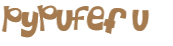 CAPTCHA 挑戰