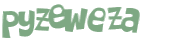 Wyzwanie captcha