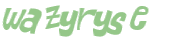 CAPTCHA 挑戰