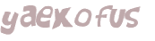 CAPTCHA 挑戰