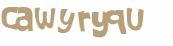 CAPTCHA 挑戰