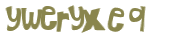 Wyzwanie captcha