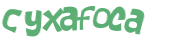 Captchafråga