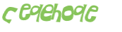 Captcha-Test