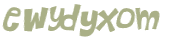 Captcha 챌린지