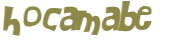 Desafio Captcha